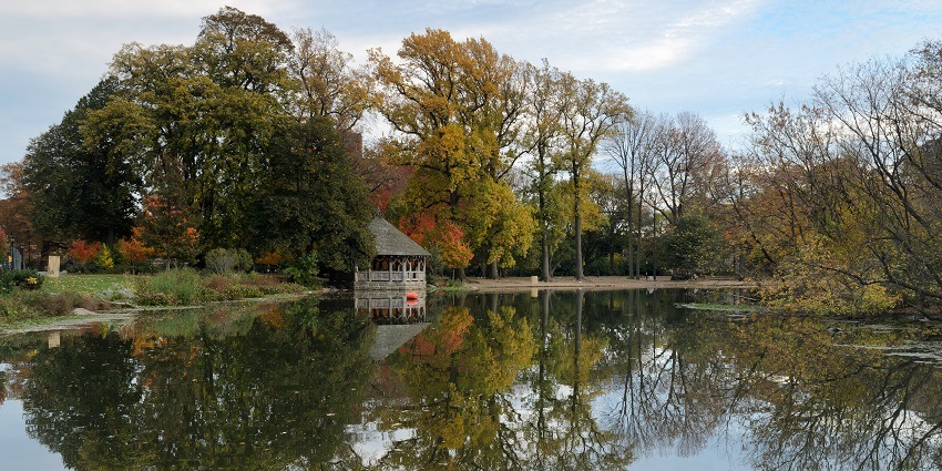 An image of Prospect Park, a popular place, featuring dramatic landscapes and trees.