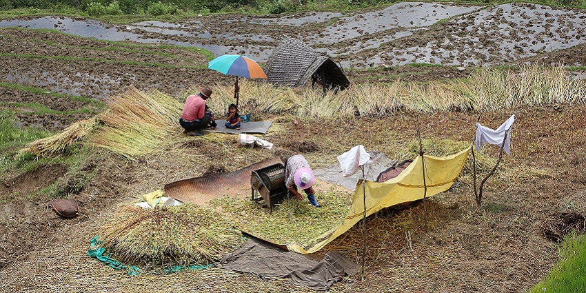 Best camp in Bhutan with a scenic view of Punakha Dzong and the serene river.
