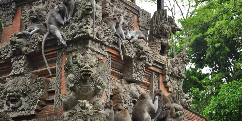Experience tranquility at this spiritual temple dedicated to Balinese ancestral worship.