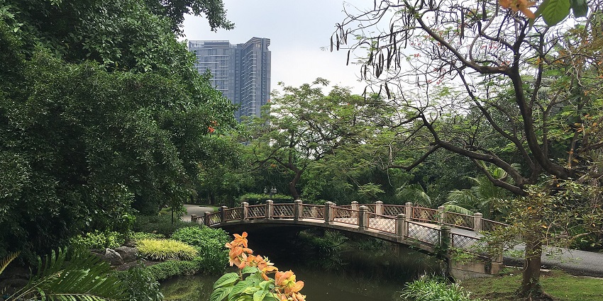 A lush botanical garden in Bangkok featuring vibrant flowers, serene ponds, and shaded walking paths.