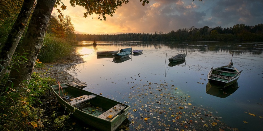An image of a lake similar to Rana Pratap Sagar Lake surrounded by lush green forest