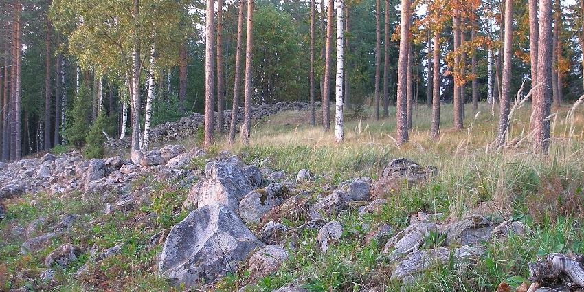 Rapola Castle is a medieval hilltop stronghold and Finland’s largest ancient hill fort!