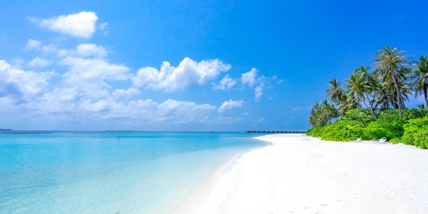 A captivating Maldivian island known for vibrant coral reefs, rich marine biodiversity, and peaceful beaches.