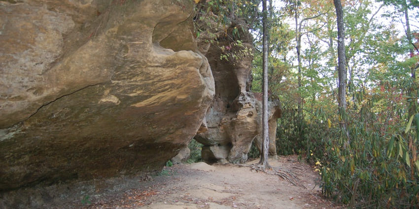 Red River Gorge offers exciting rock climbing for kids with beginner-friendly routes