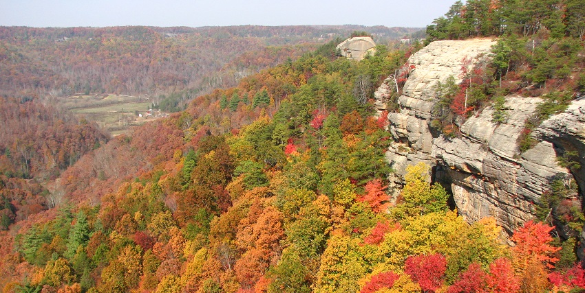 autumn trees displaying red, orange, and yellow hues at the Red River Gorge, Kentucky, USA