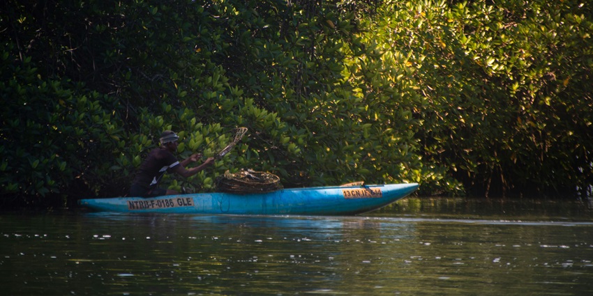 A man enjoying kayaking through the scenic Reem Central Park, surrounded by lush greenery