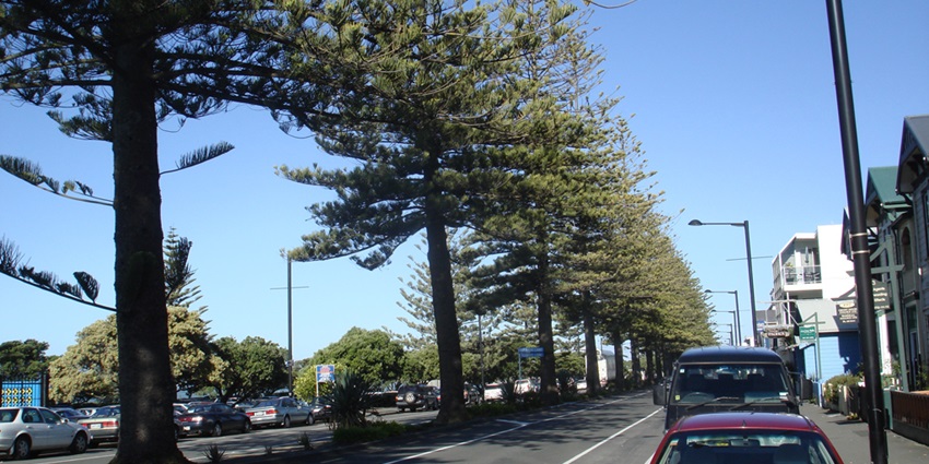 Exploring the Marine Parade is one of the fun things to do in Napier among tourists.