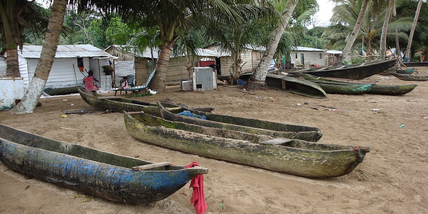 Wooden boats resting on the sandy shore near small houses and palm trees lined up