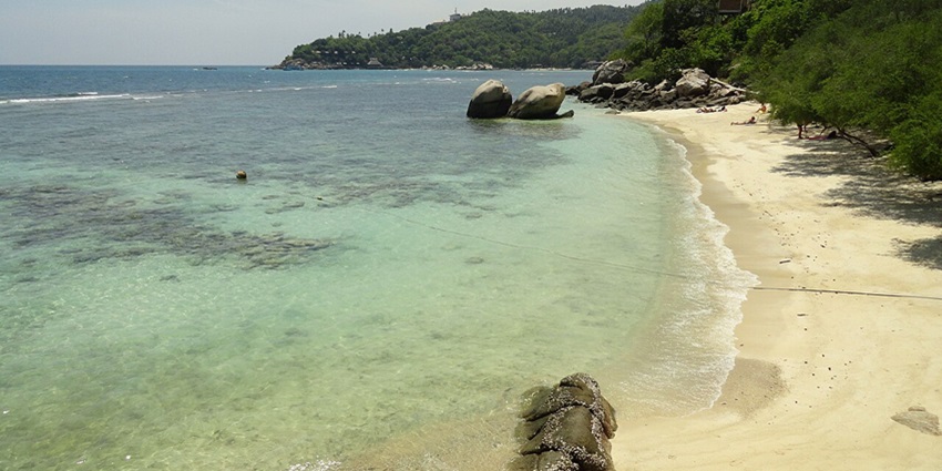Unwind on the pristine shores of Freedom Beach, a hidden gem on Koh Tao Island.
