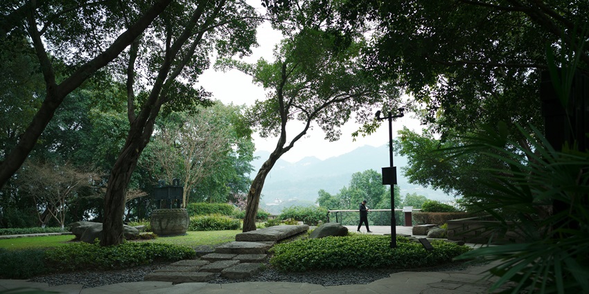 A man walking through a park next to trees in, captured in a serene and natural setting.