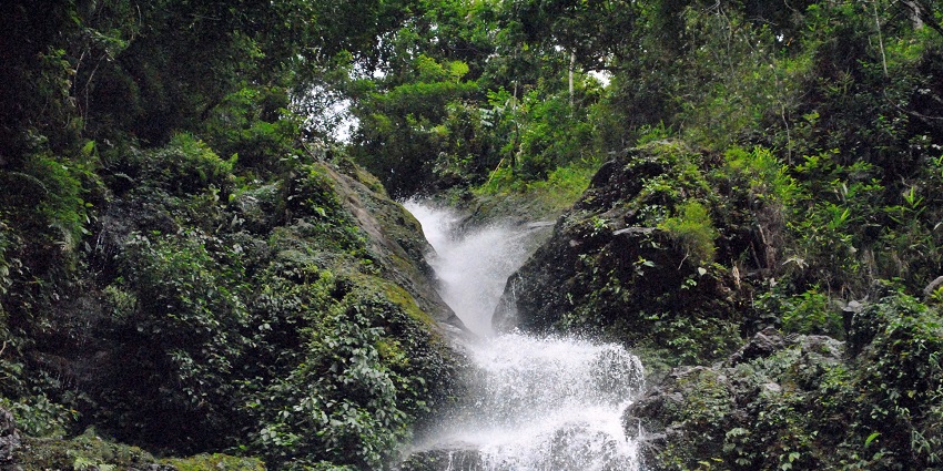 An image showing Rimbik Waterfalls, a notable attraction in an East India hill station.