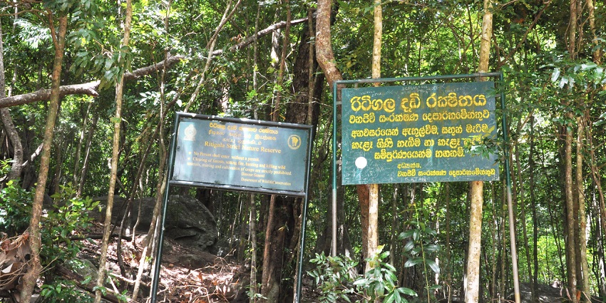 Entrance signs at Ritigala Strict Nature Reserve, surrounded by dense forest vegetation