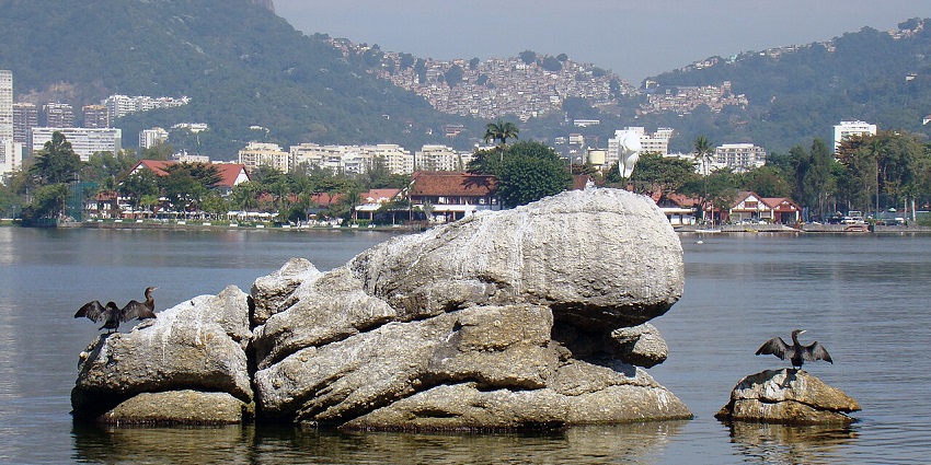 Rodrigo de Freitas Lake in the daytime, with its upbeat vibe attracting tourists