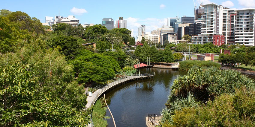 A lush green landscape at Roma Street Parkland in Brisbane, one of the best places to visit in Brisbane.