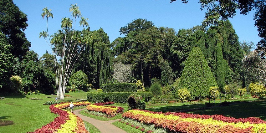 A variety of colourful flowers in the garden located near the temple of the tooth relic