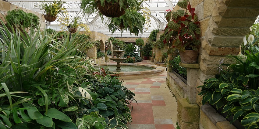 Scenic garden in the Royal Tasmanian Botanical Gardens, one of the places to visit in Hobart