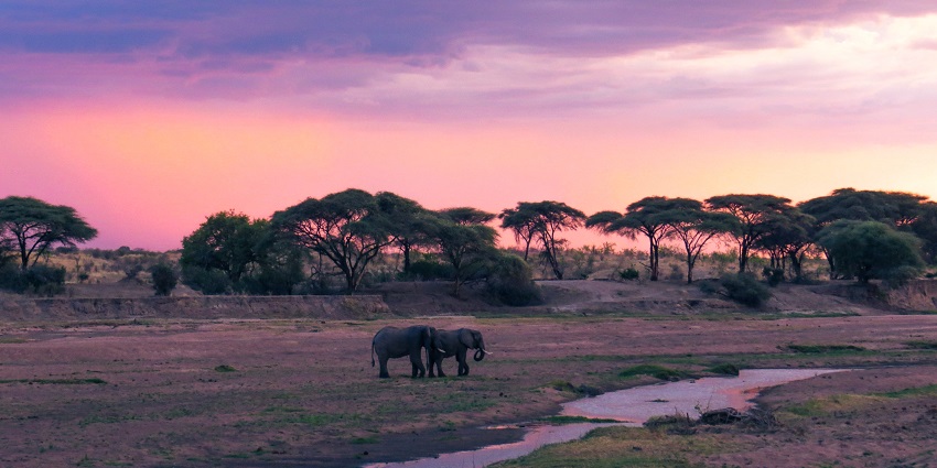 Ruaha National Park’s rugged landscape with rocky hills, baobab trees, and expansive savannahs in Tanzania
