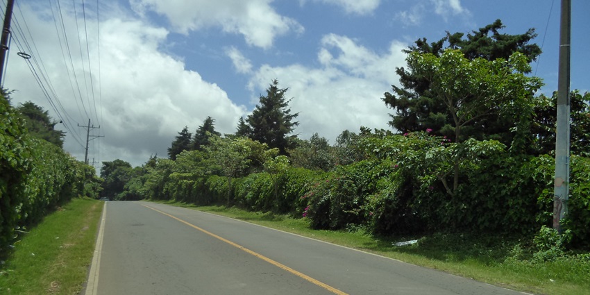 Road is stretching through green scenery under a bright sky in Ataco’s Ruta de las Flores