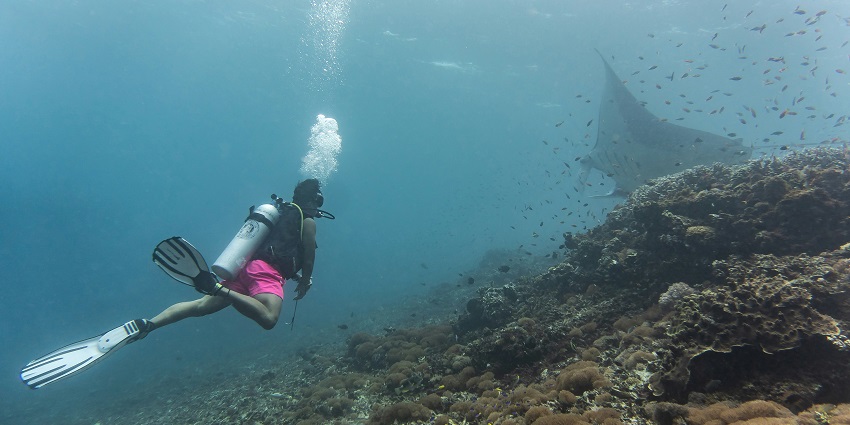 One of the unique things to spot during a scuba dive in Galle