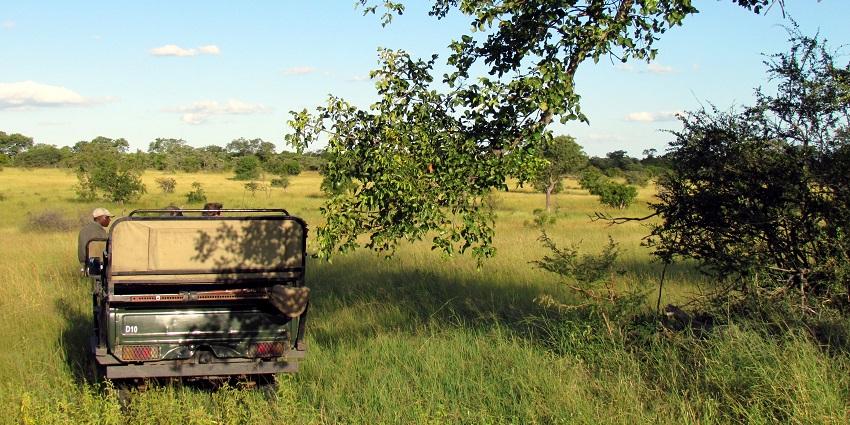 A safari jeep in the Sabi Sands Game Reserve Safari, the best South Africa Jungle Safari.