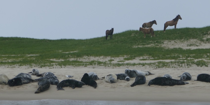 Sable Island, known for its shifting sands, ranks among the most dangerous islands