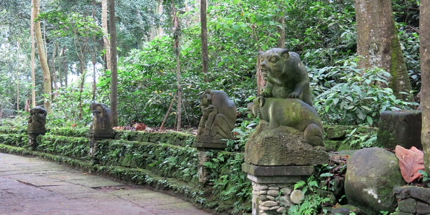 Explore a lush forest filled with playful monkeys and sacred temples.