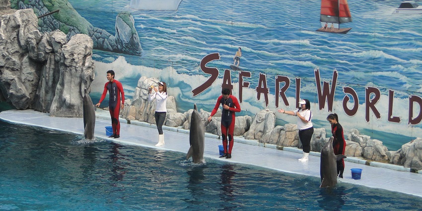 A picture of Safari World Bangkok, showcasing exotic animals in an open safari setting.