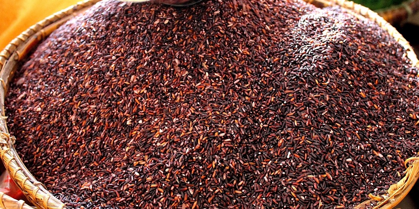 The glutinous rice of Manipur to prepare the chahao kheer for Sajibu Cheiraoba, one of the new year festivals in India.