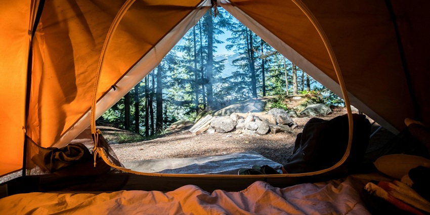 A glimpse of a tent on a ground amidst the lush green dense forest of the region.