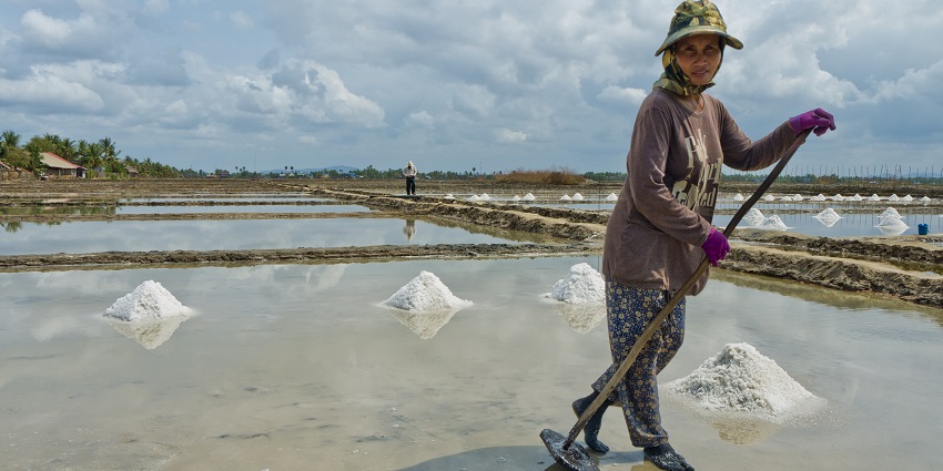 An image showing a woman working in the salt fields of Kampot, carrying tools for harvesting.