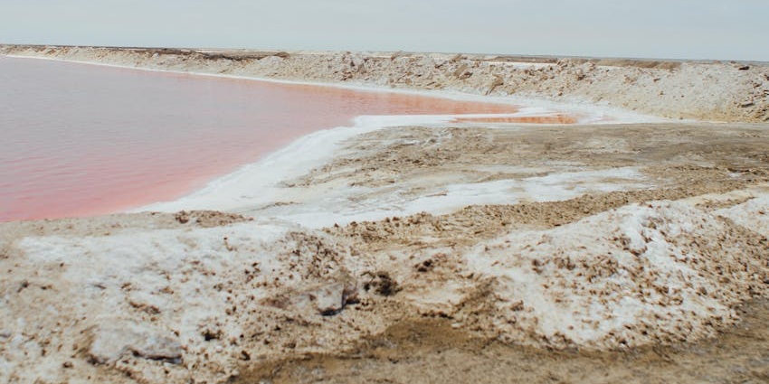 Sambhar Lake with a serene backdrop, famous for its salt production and migratory birds
