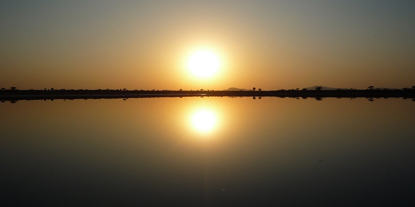 An image of Sambhar Lake, a lake in Jaipur, at sunset with golden hues reflecting on calm waters