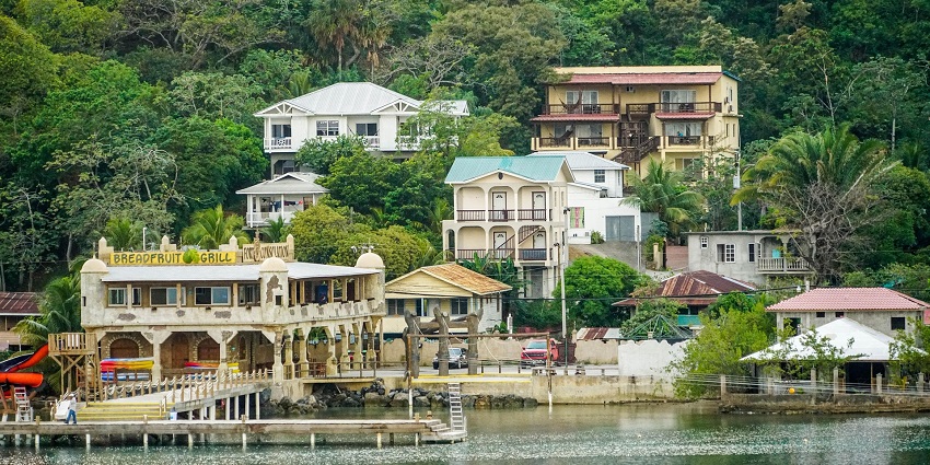 Cruise ships are docking at Roatán’s port, with palm trees and blue waters surrounding them