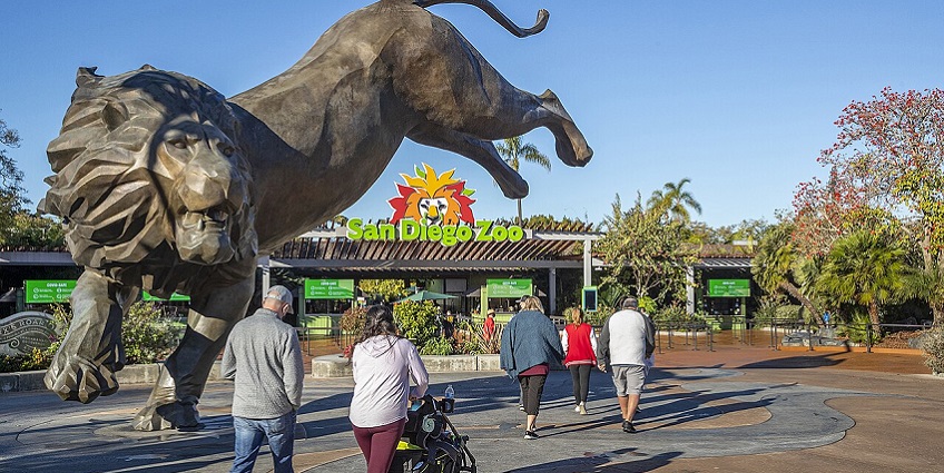 San Diego Zoo entrance showcasing vibrant signage, lush greenery and adventure.