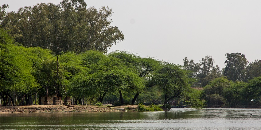 Sanjay Lake, offering a picturesque view with calm waters and lush green surroundings