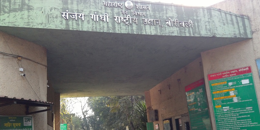The entrance of Sanjay National Park, it features landscape and wildlife, including tigers