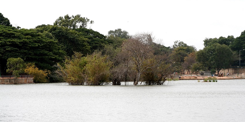 Sankey Tank with still waters surrounded by trees, reflecting the warm colors of the sky