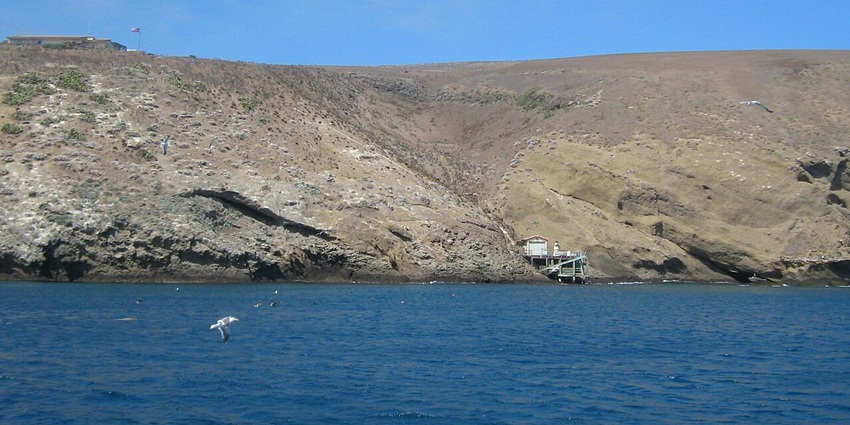 Dock at Santa Barbara Island, a tourist attraction near Channel Islands National Park