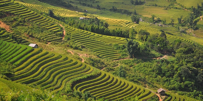 An image of a view of Sapa, Vietnam, featuring steppe farming, and local landscapes.