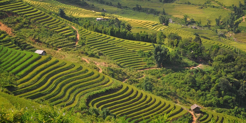 An image showing the view of the Sapa in Vietnam, a popular trekking spot in January.