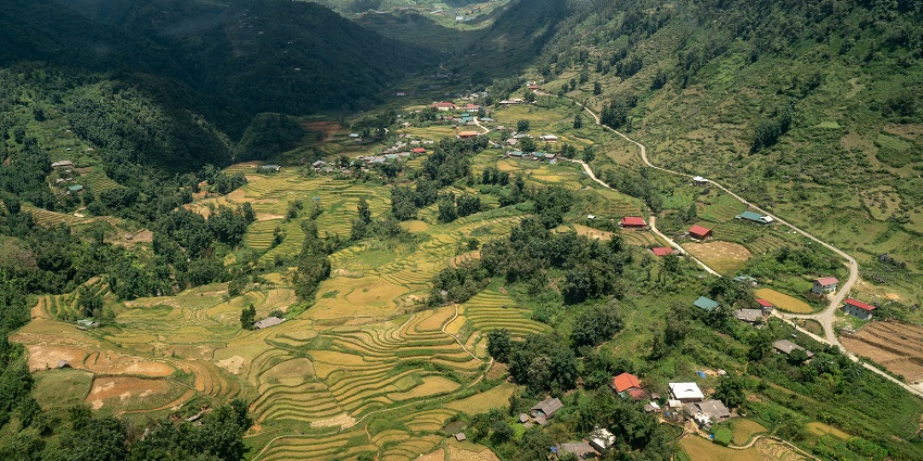 A scenic view of lush green terraced rice fields in Sapa Valley, layered along hills.