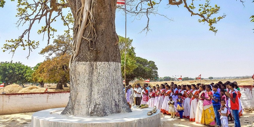 An image showing tribal people worshipping under a holy Sarna tree during Sarhul in Ranchi.