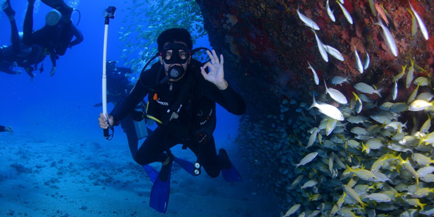 Scuba diving adventure, swimming alongside majestic whale sharks is one of the most exciting things to do in Tofo