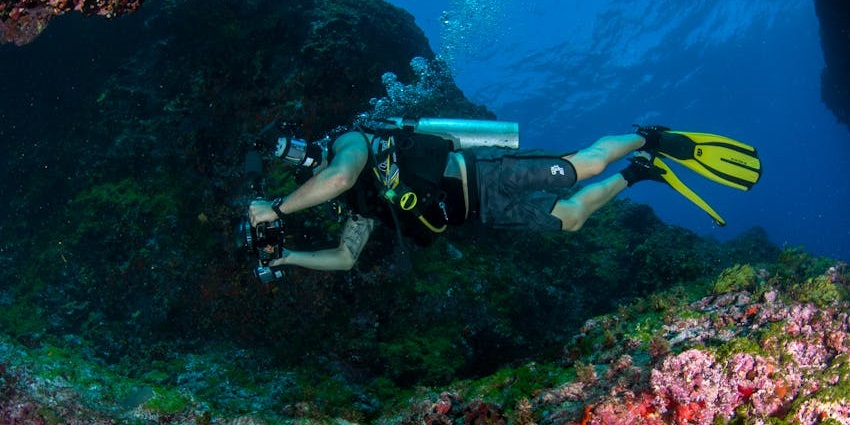 Man diving underwater with diving gear and coral reefs and underwater plants all around.