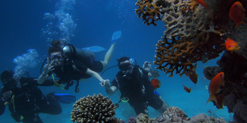 The Second and Third Reefs is one of the Top places for Scuba diving in Colombo
