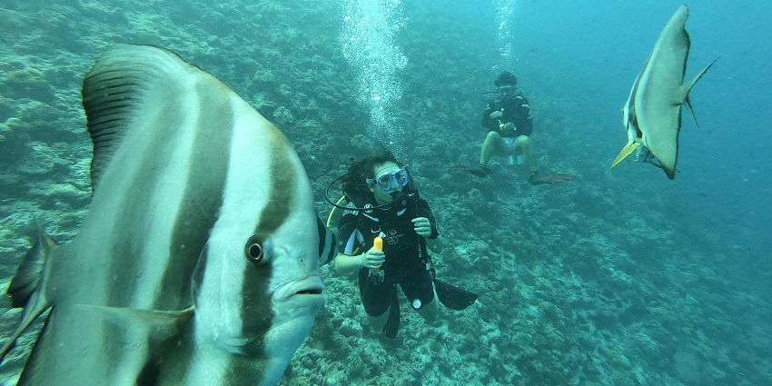 Gili Island, where the secret garden is located, one of the places for snorkelling.