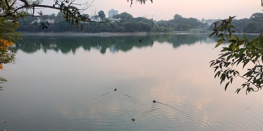 Lake in Whitefield with a large water body, birds on the lake, greenery and buildings.