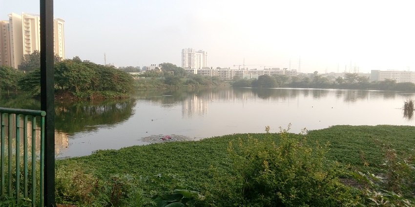 Seetharampalya lake in Whitefield with a large water body surrounded by greenery and distant buildings.