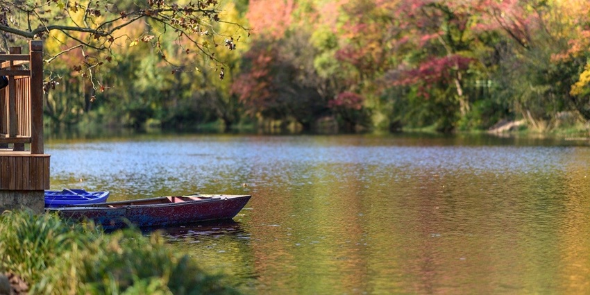 Dreamy lake scene with soft evening clouds, one of the lakes in Kangra, India.