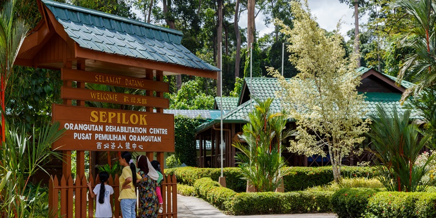 A sanctuary dedicated to rescuing and rehabilitating endangered orangutans in Borneo.